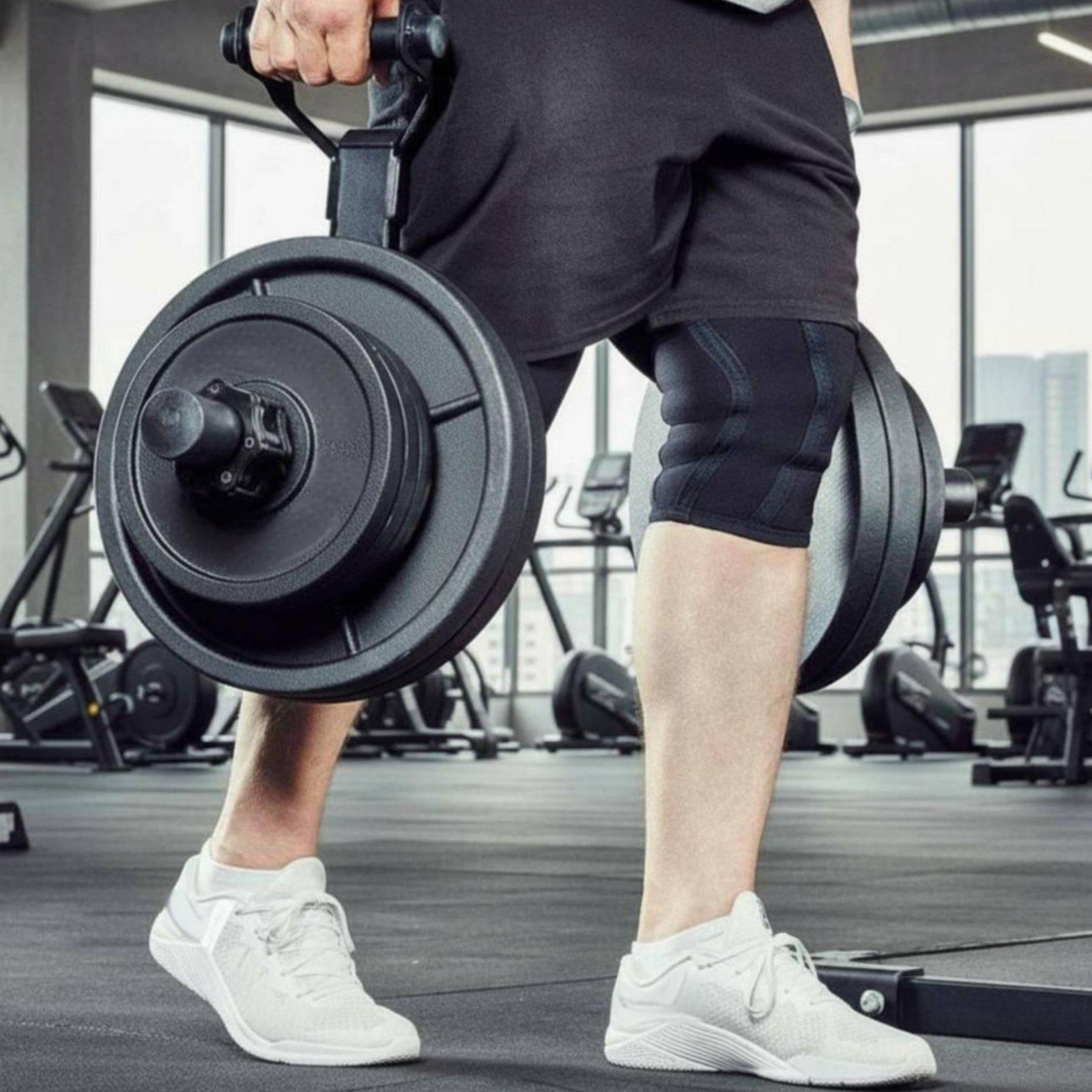 Suporte Organizador de Anilhas - Home Gym Equipments avaliação e preço